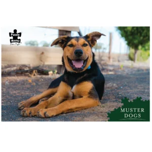 Puzzlemaster 1000 Piece Jigsaw Puzzle "Muster Dogs Banjo"